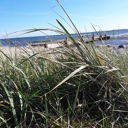 Beachfront Family Retreat - By Traum Feriehus Næs