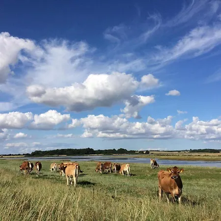 Beachfront Family Retreat - By Traum